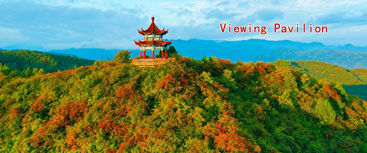 礦區(qū)瀏覽-觀(guān)景亭.jpg