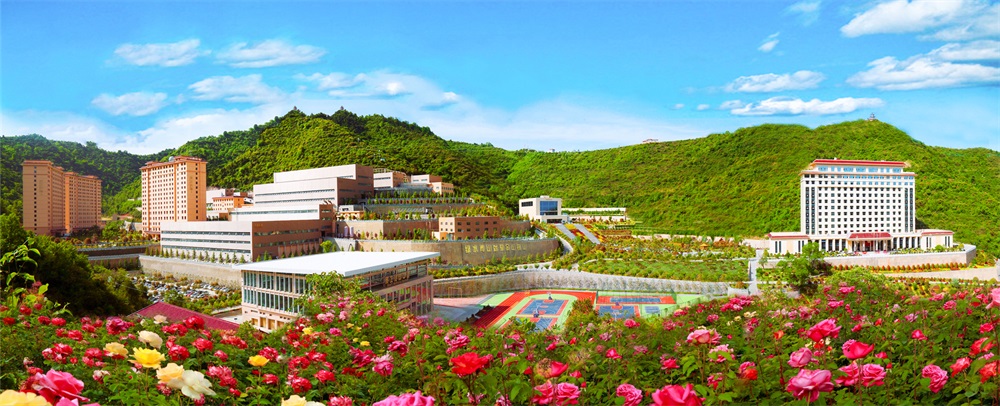 三季有花、四季常青的金徽股份.jpg
