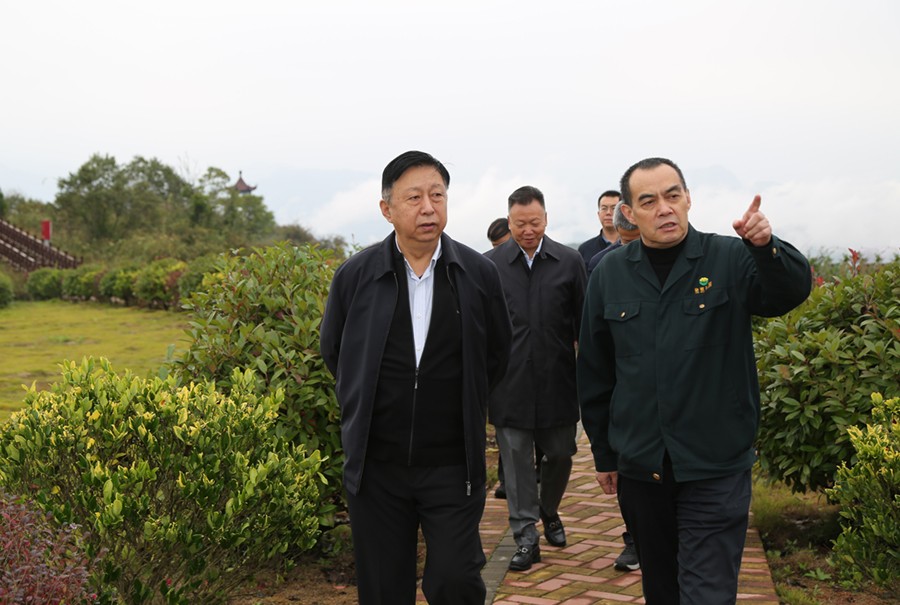 19-2021年10月，原國(guó)土資源部副部長(zhǎng)汪民蒞臨公司調(diào)研。.jpg