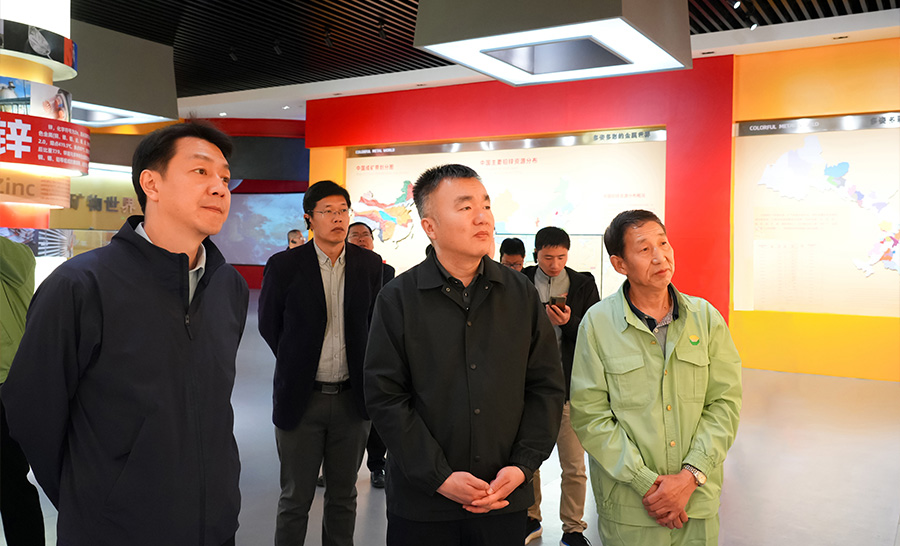 10.4-2024年04月，自然資源部礦保司副司長(zhǎng)王博蒞臨公司調(diào)研。.jpg