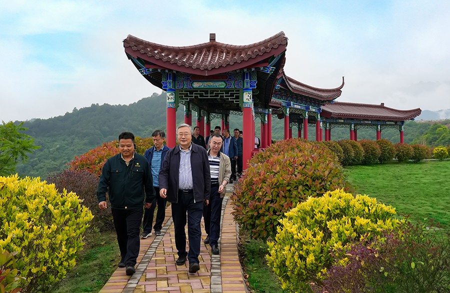 49-2022年5月，省工信廳副廳長(zhǎng)王海峰一行蒞臨金徽股份調(diào)研綠色礦山建設(shè)工作。.jpg