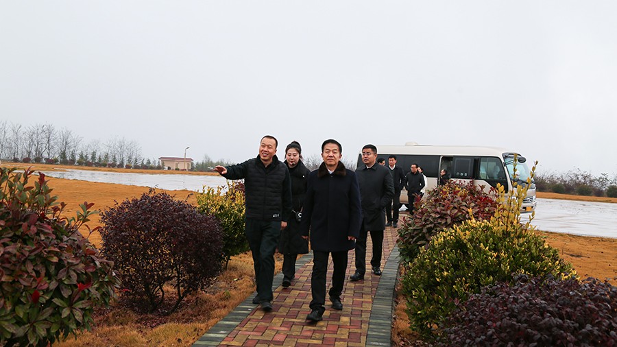 45-2020年12月，省高級(jí)人民法院黨組成員、副院長(zhǎng)任建國(guó)蒞臨金徽股份調(diào)研知識(shí)產(chǎn)權(quán)司法保護(hù)工作。.jpg